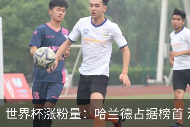 世界杯涨粉量：哈兰德占据榜首 沃齐尼亚粉丝涨幅97900%
