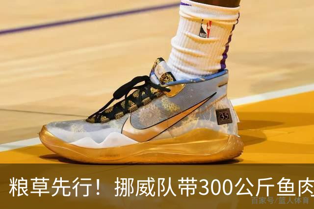粮草先行！挪威队带300公斤鱼肉+116公斤奶酪赴美踢世界杯